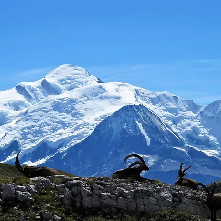Apartment Vintage Chic -central, Wifi, Mountain View Les Carroz d'Araches